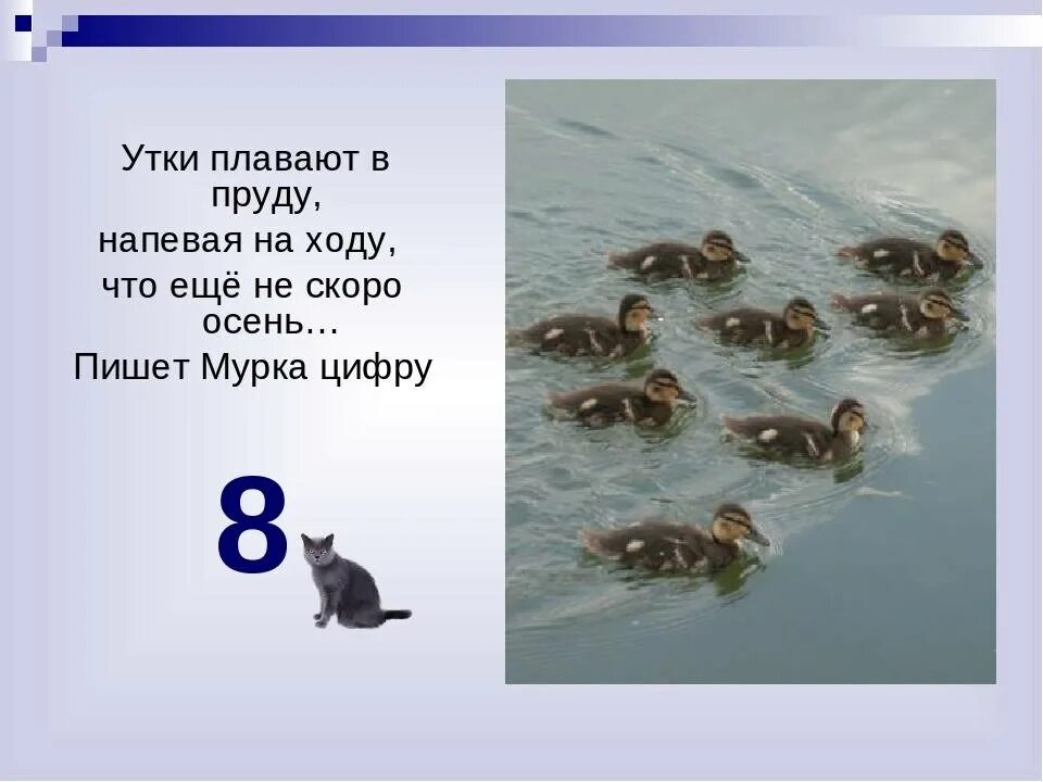 В пруду плавали несколько уток. Утки плавают в пруду. Утята плавают. Утки плавают. Утки плавали в пруду стихи.