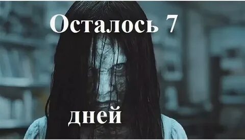 Звонок 6