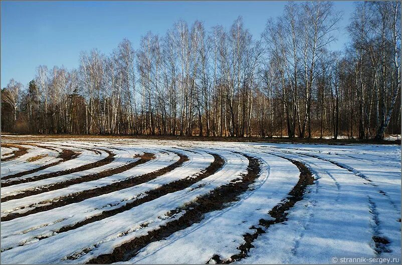 Поле весной картинки