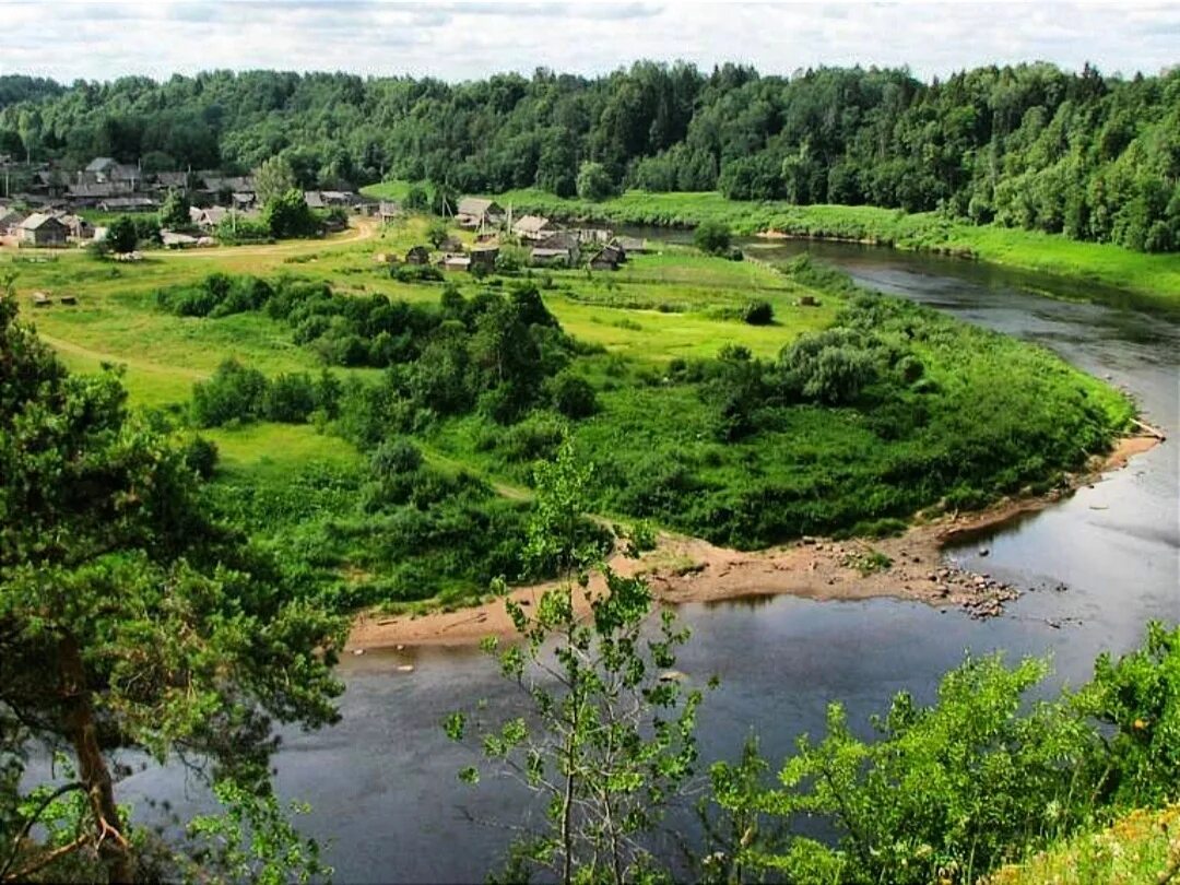 Деревня селеево. Селеево новгородская область. Деревня селеево. Селеево новгородская область фото. Река ловать новгородская.