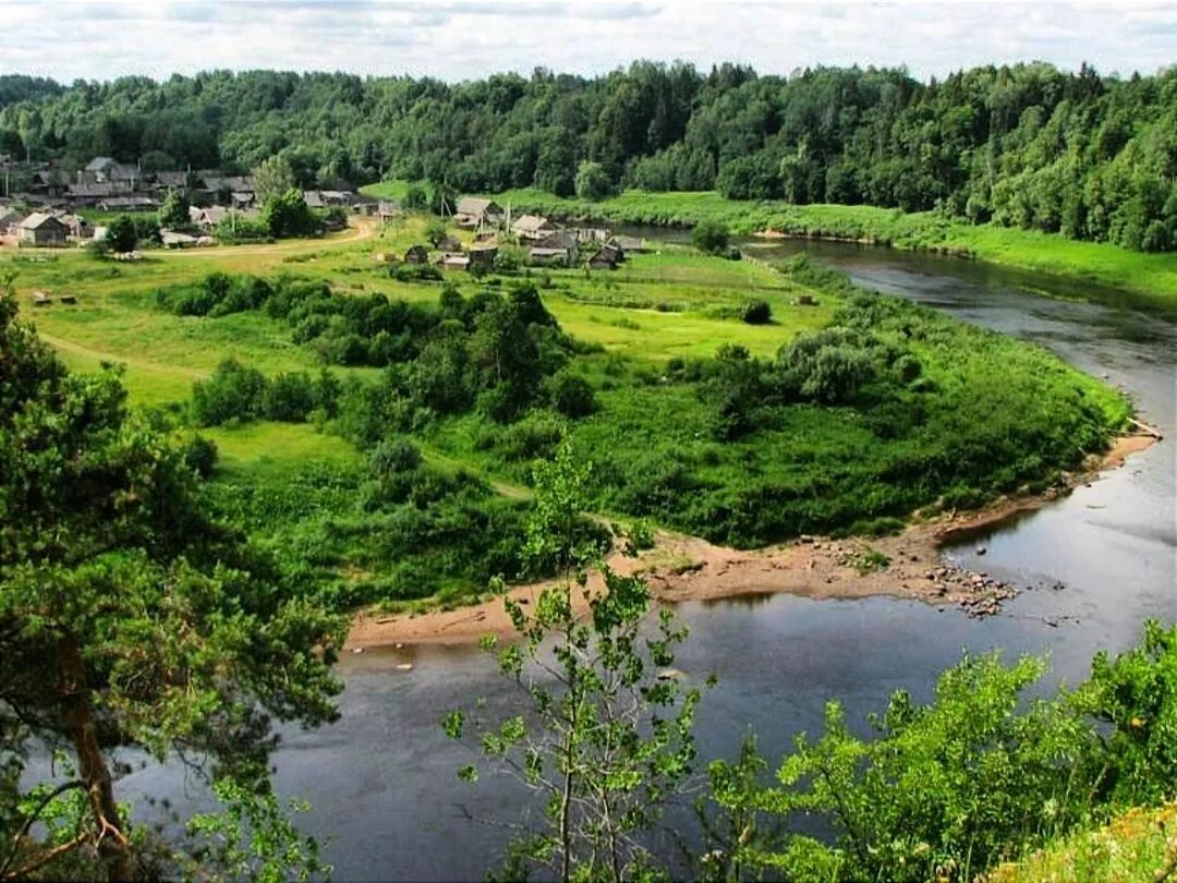 Погода в поддорье новгородской области. Река Ловать Селеево. Деревня Селеево Новгородской области. Река Ловать Новгородская. Селеево Новгородская область Поддорский район.