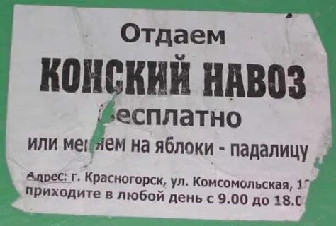 Пришли любое