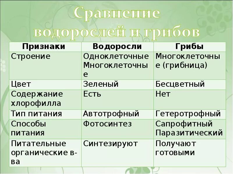 Признаки водорослей 5. Водоросли таблица. Признаки водорослей. Строение многоклеточного гриба. Особенности грибов и лишайников.