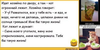 анекдоты про еду самые смешные