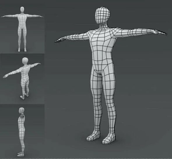 Создание модели человека. Референс лоу поли. референс человека для 3ds max. 3д референс лоу поли. референс для 3д моделирования blender.