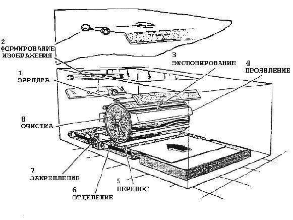 Принцип действия копировального аппарата физика. Устройство лазерного принтера схема. Из чего состоит МФУ лазерный. Схема копировального устройства. Схема работы копировальных устройств.