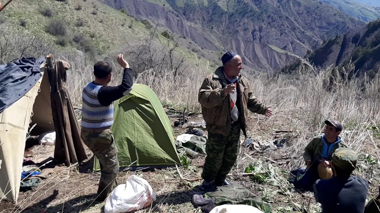 Погода в шурообод. Шурообод Даштиджум. Шурообод Таджикистан. Девдор Шурообод. Нохияи Шурообод.