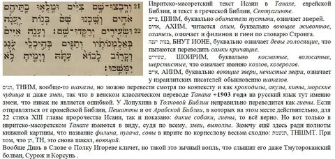 Текст див