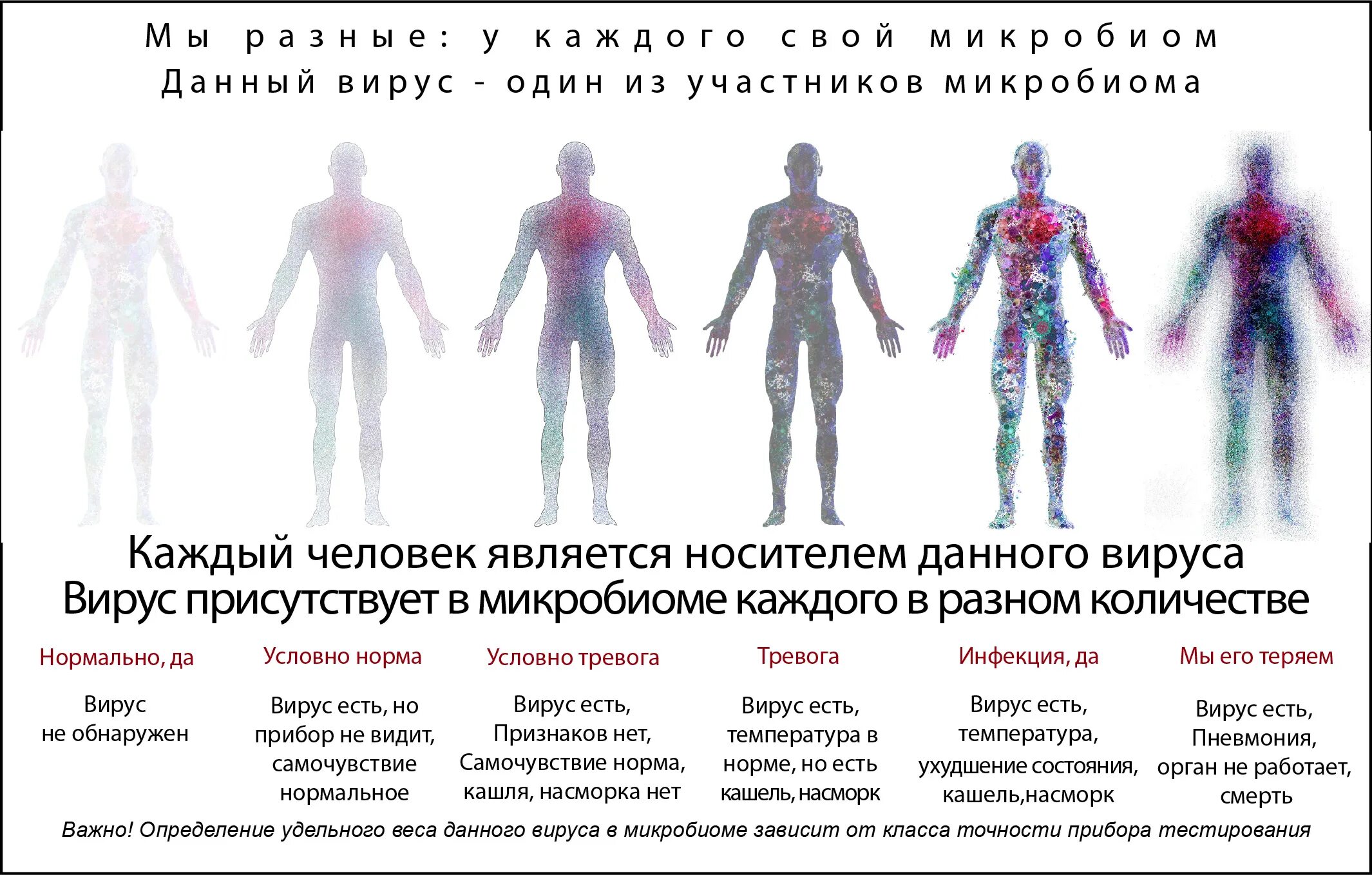 Структура нормального микробиома не соответствует норме. Микробиома человека это. микробиом весит.