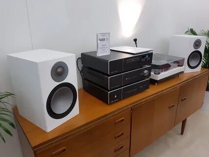 Monitor silver 100