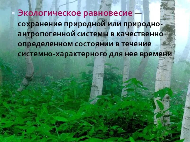 Экологическое равновесие. Экологическое равновесие в природе. Нарушение экологического равновесия. Сохранение экологического равновесия.