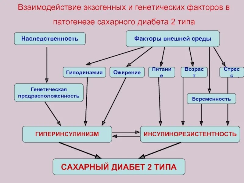 Механизм развития сахарного диабета 2 типа. Патогенез сахарного диабета 2 типа. Взаимосвязь наследственных факторов и внешних. Взаимодействие наследственности и факторов внешней среды. Наследственное взаимодействие