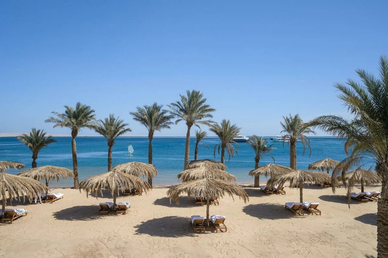 Туры в египет в августе. Serry beach resort египет. бич альбатрос египет. serry beach resort 5 хургада. альбатрос египет хургада.