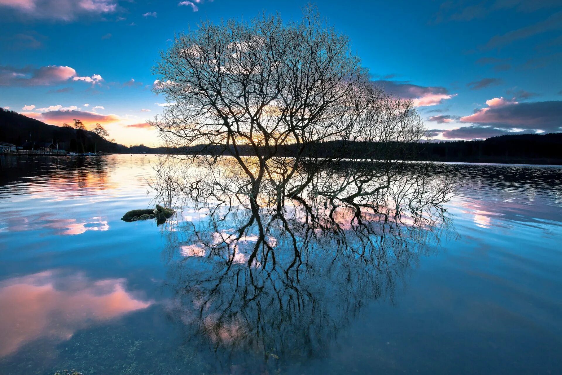 Отражение в воде. Весенний пейзаж. Весенняя природа. Отражение природы в воде.