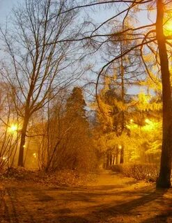 Осень в сокольниках слушать