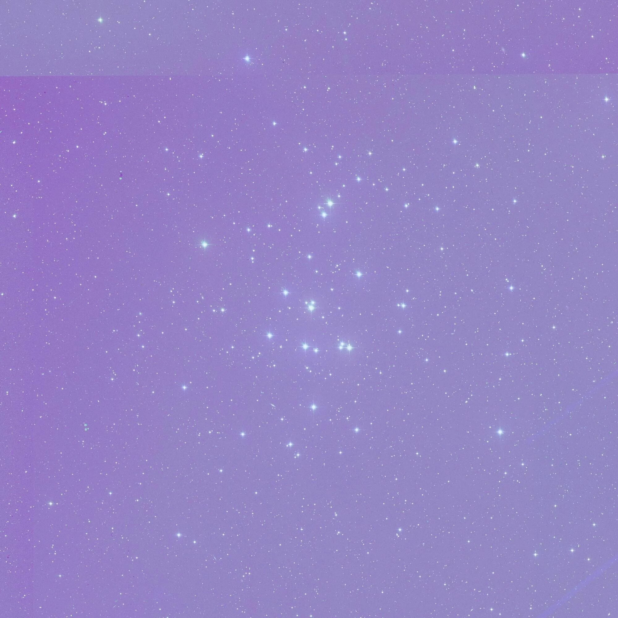 Бледно фиолетовый цвет. Сиреневый фон. Бледно фиолетовый. Фиолетовый светло сплошной цвет. Сиреневый фон.