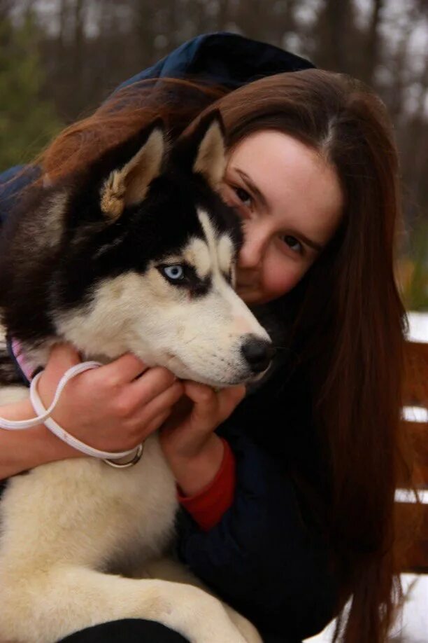 Хаски блюз. Хаски блюз тула. Данилова аня барнаул. Хаски блюз тула. Открытки с 8 марта хаски и самоеды.