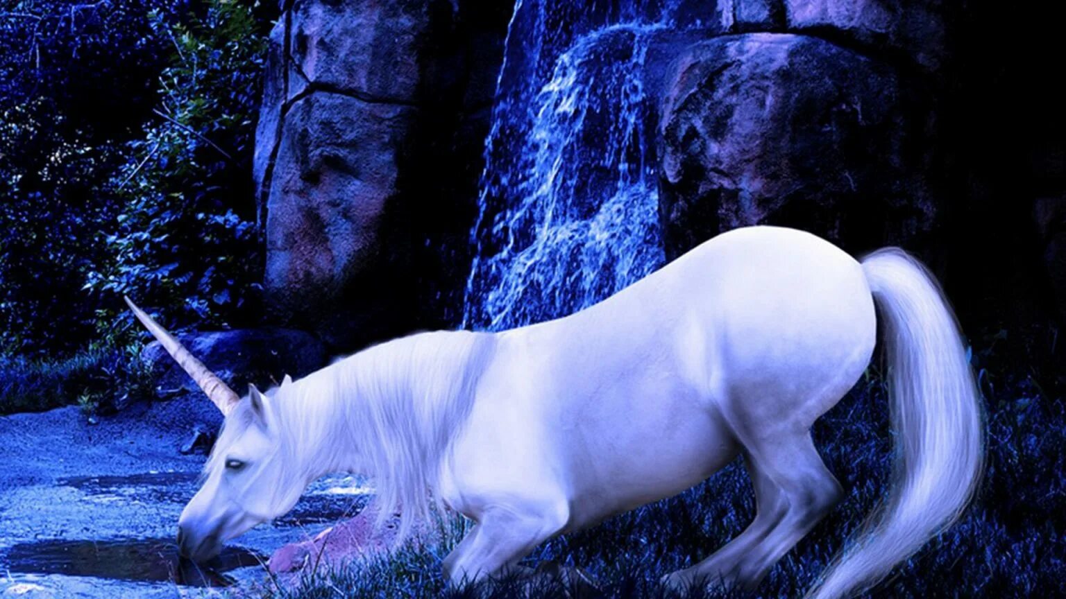 Единорог Амбера. Единорог (мифология)Шотландия. Ӗ̈д̆̈й̈н̆̈о̆̈р̆̈о̆̈г̆̈. Единорог unicorn