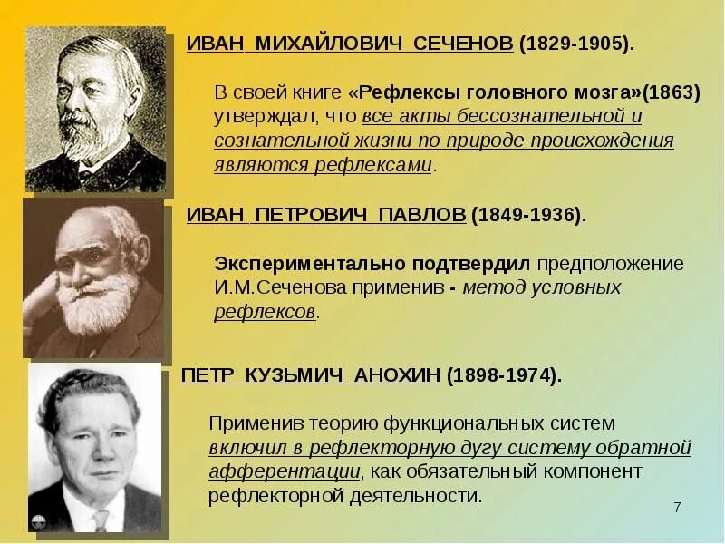 Основной принцип основных ученых. Основной принцип основных ученых
