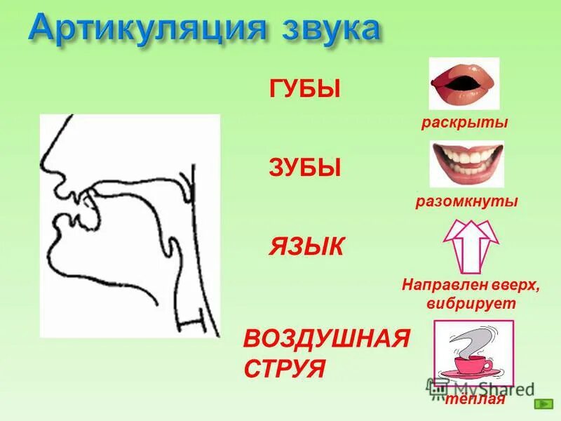 Голосовой язык. Схема анализа артикуляции звука. Правильная артикуляция звука с. Артикуляционный уклад звука р. Звук с положение языка.