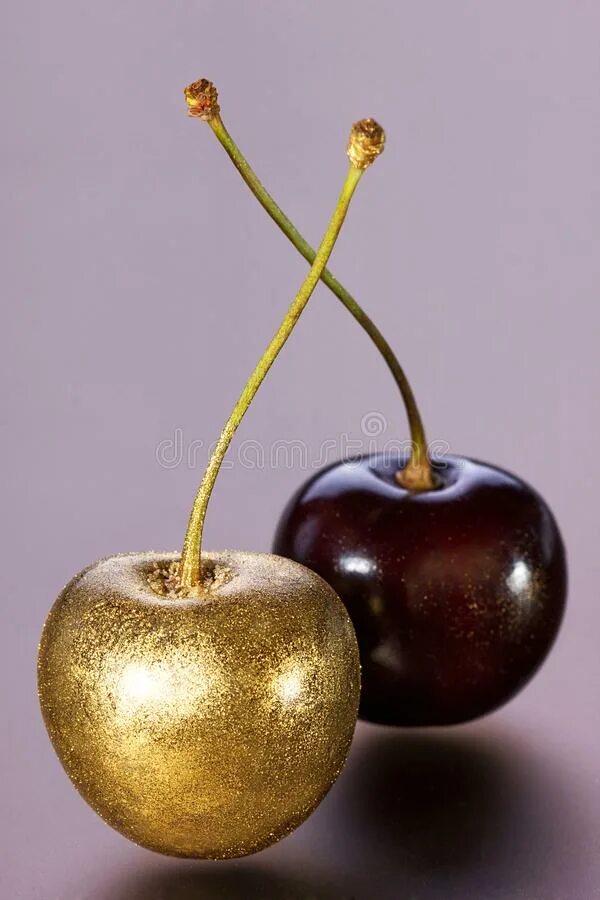 Вишня в золоте. Золотая подвеска вишенки. Картина декарт 8л0933. Золотая вишня. Золотистая вишня.