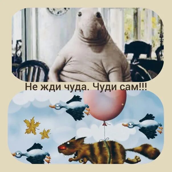 Не ждите чуда чудите сами. Не жди чуда чуди сам. Не ждите чуда чудите сами картинки. Не жди чудес чудите сами.