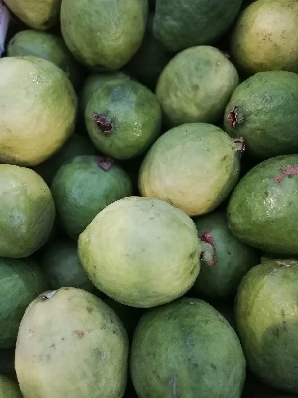 авокадо. лаймон фрукт. померанец зеленый фрукт. авокадо хасс. зеленая ягода.