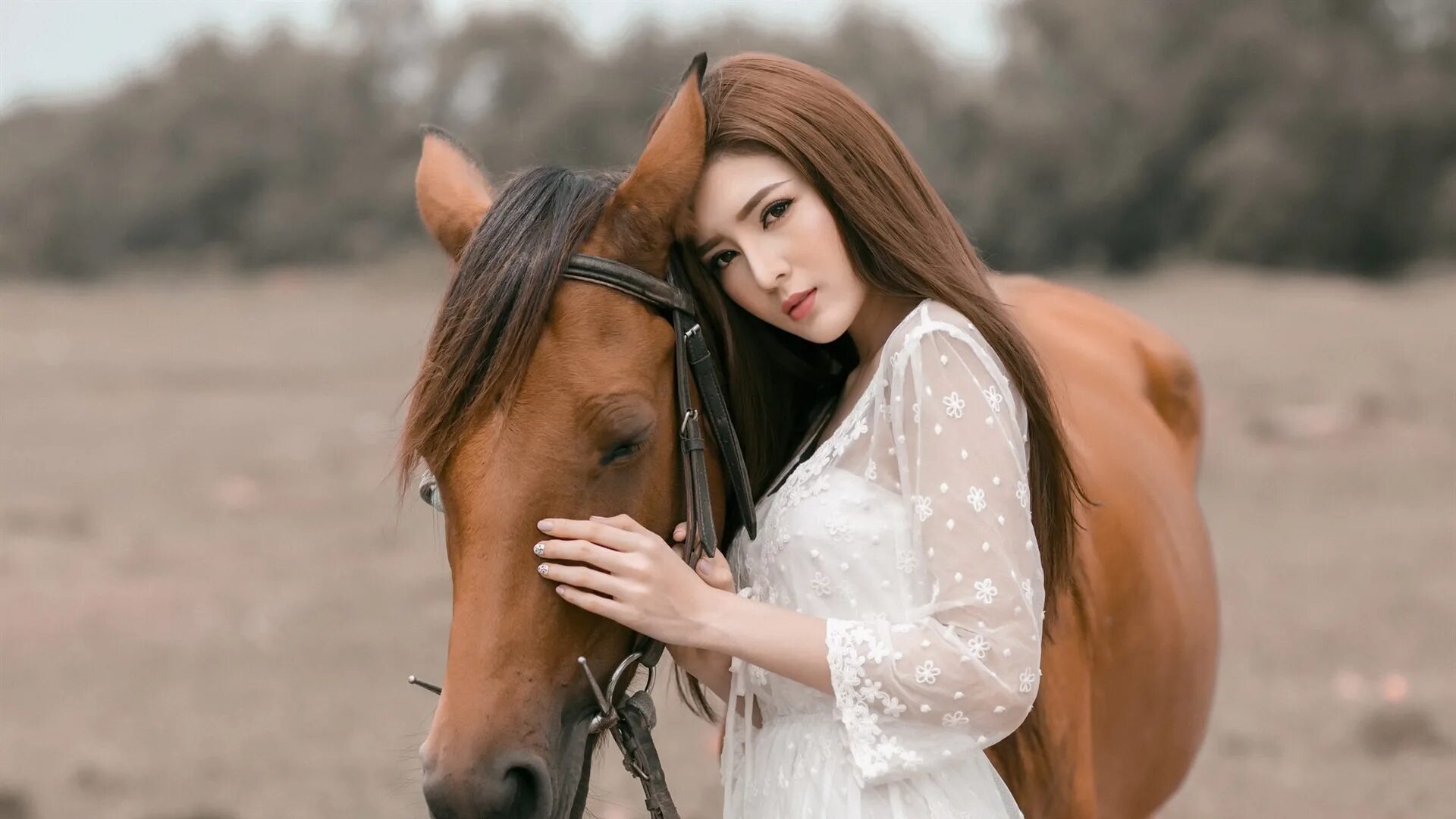 Фотосессия с коричневой лошадью. Морда лошади и девушка. Конь портрет на коричневом фоне.