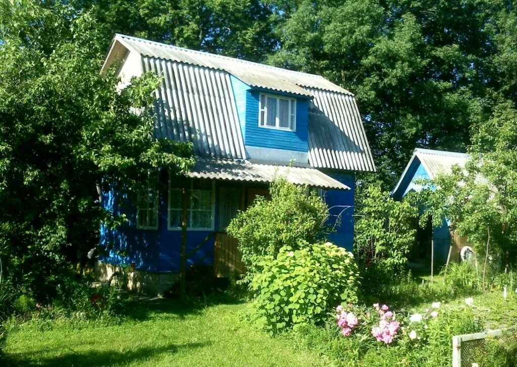 Дома в тарусской области. Дача в Тарусе. Участок с домом в деревне на Протве. Дача в Протва. СНТ Протва Калужская область.