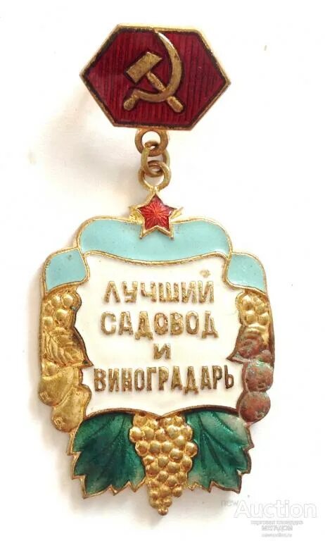 Лучшему садоводу. Медаль лучший садовод. медаль лучшему садоводу. лучшему огороднику. лучший садовод.