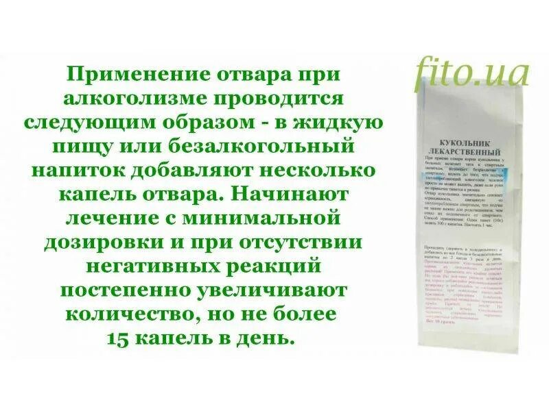 Чемеричная трава от алкоголизма. Чемеричная вода от пьянства. Чемеричная вода от алкоголизма. Трава от пьянства кукольник. Применение черемичной воды