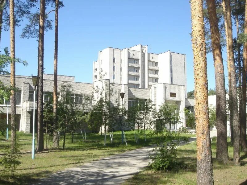 Сосновый бор владимирской. Сосновый бор владимирской. Сосновый бор владимирской. Сосновый бор вкс кантри. Сосновый бор владимирской.