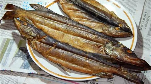 Копчение щуки