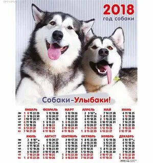 Год какой собаки 2018 году