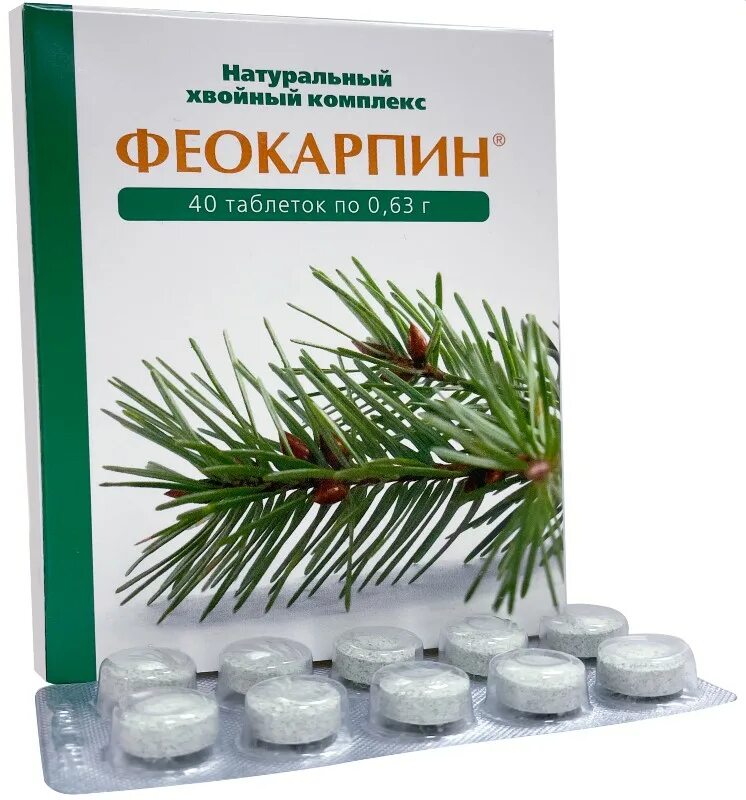 Хвойный комплекс. Феокарпин табл. №40. Феокарпин тбл №40. Феокарпин таблетки. Таблетки с хвоей Феокарпин.