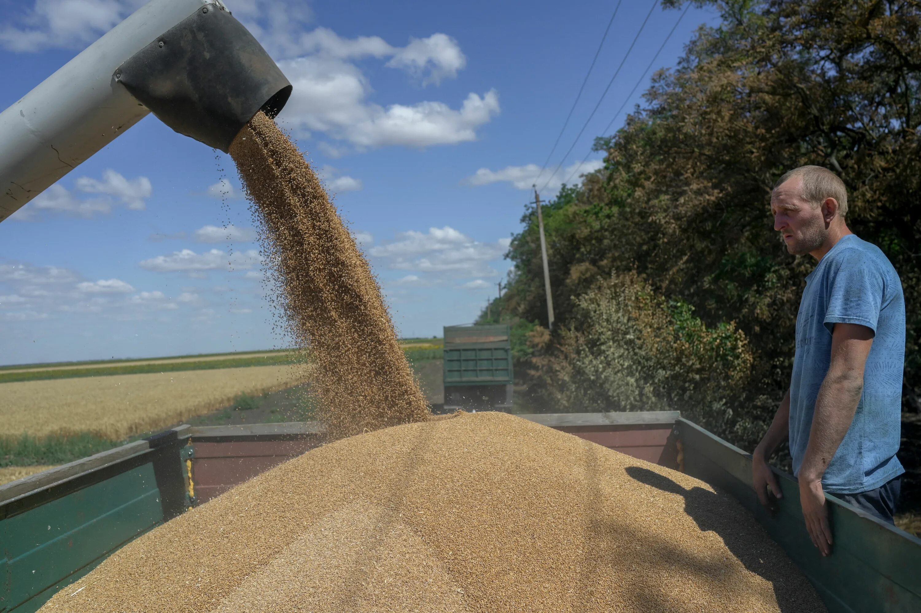 Экспорт пшеницы. Российское зерно. Зерно Украина. Экспорт зерна Украина.