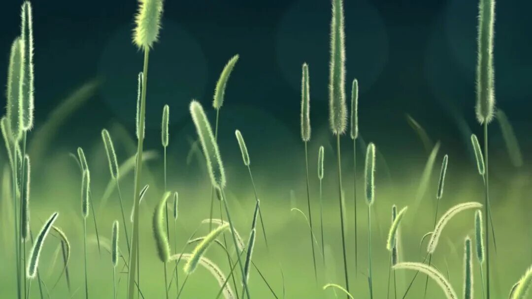 Трава анимация. Трава колышется. Колыхание трав. Гифки трава.