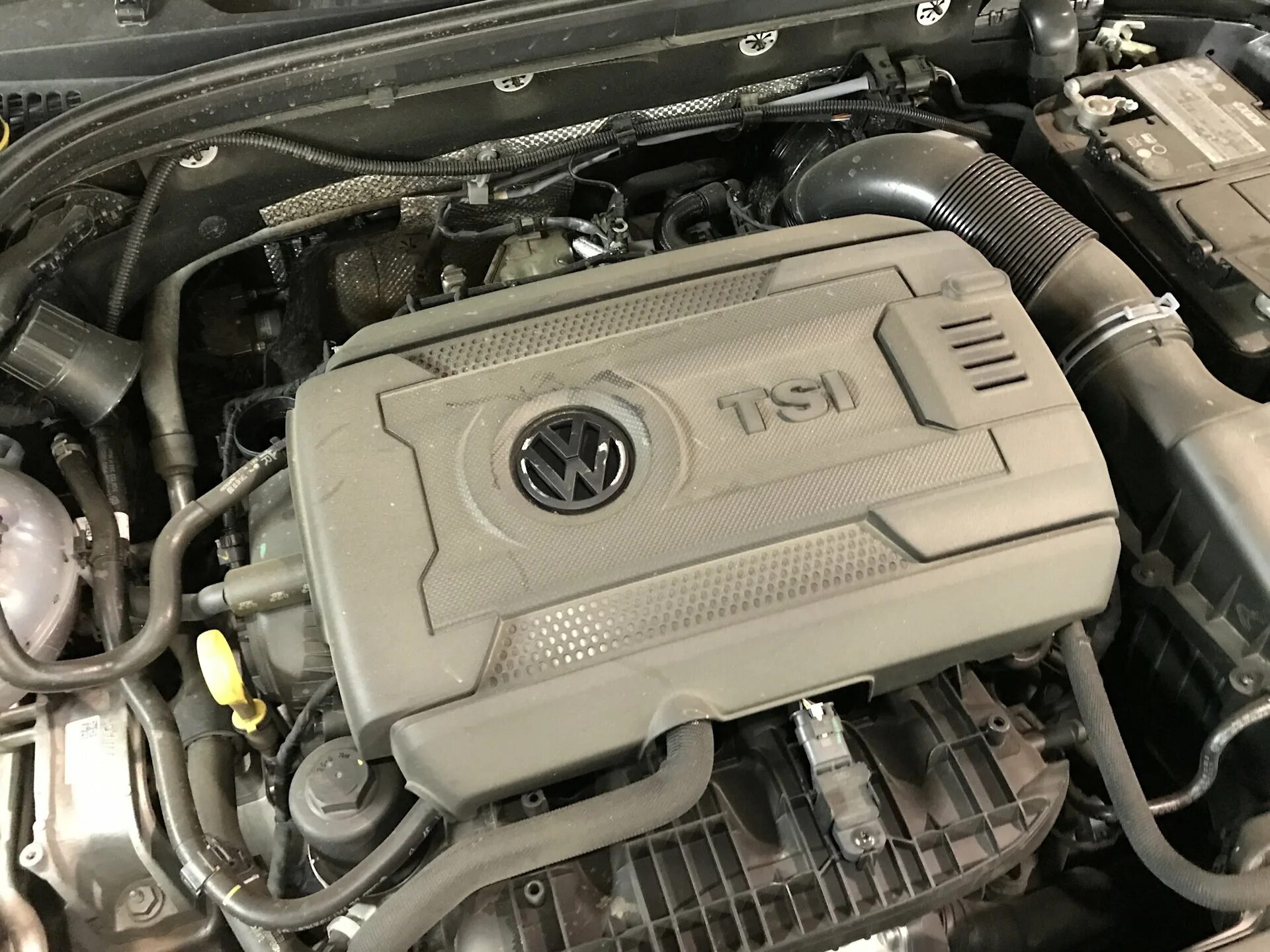 Шкода 1.8 tsi масло в двигатель. Октавия а5 1.8 tsi. octavia a5 1.8 tsi. шкода октавия 1.4 турбо. шкода октавия 1.8 tsi.