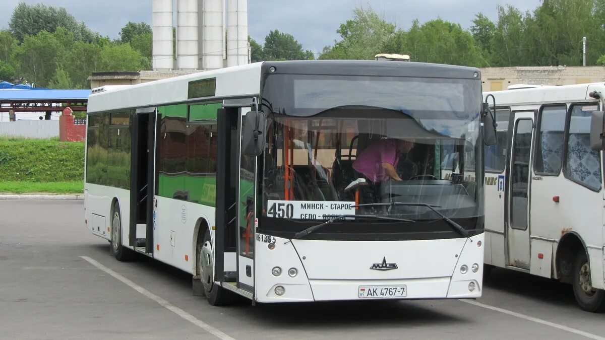 автобуса минск минсктранс