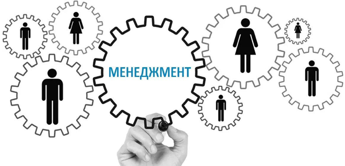 Человеческие ресурсы. Отношения с коллегами. Менеджер человеческих ресурсов. Управление человеческими ресурсами. Менеджер человеческих ресурсов.