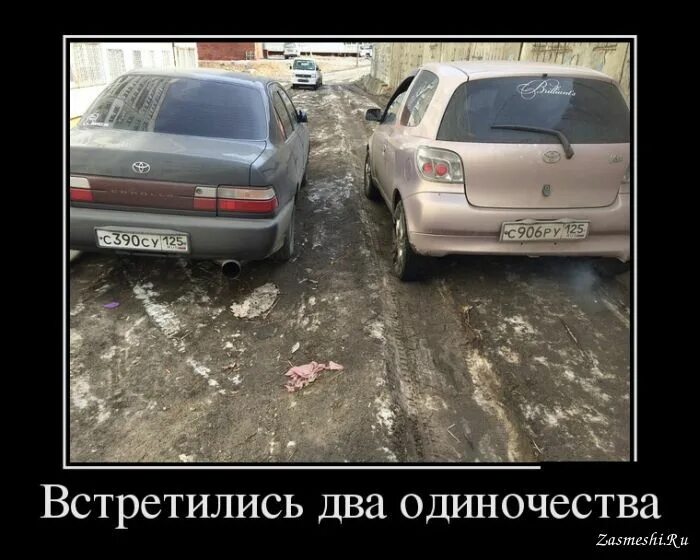 Два одиночества 7. Встретились два одиночества. номера сру и ссу встретились. два авто с номером сру и ссу.