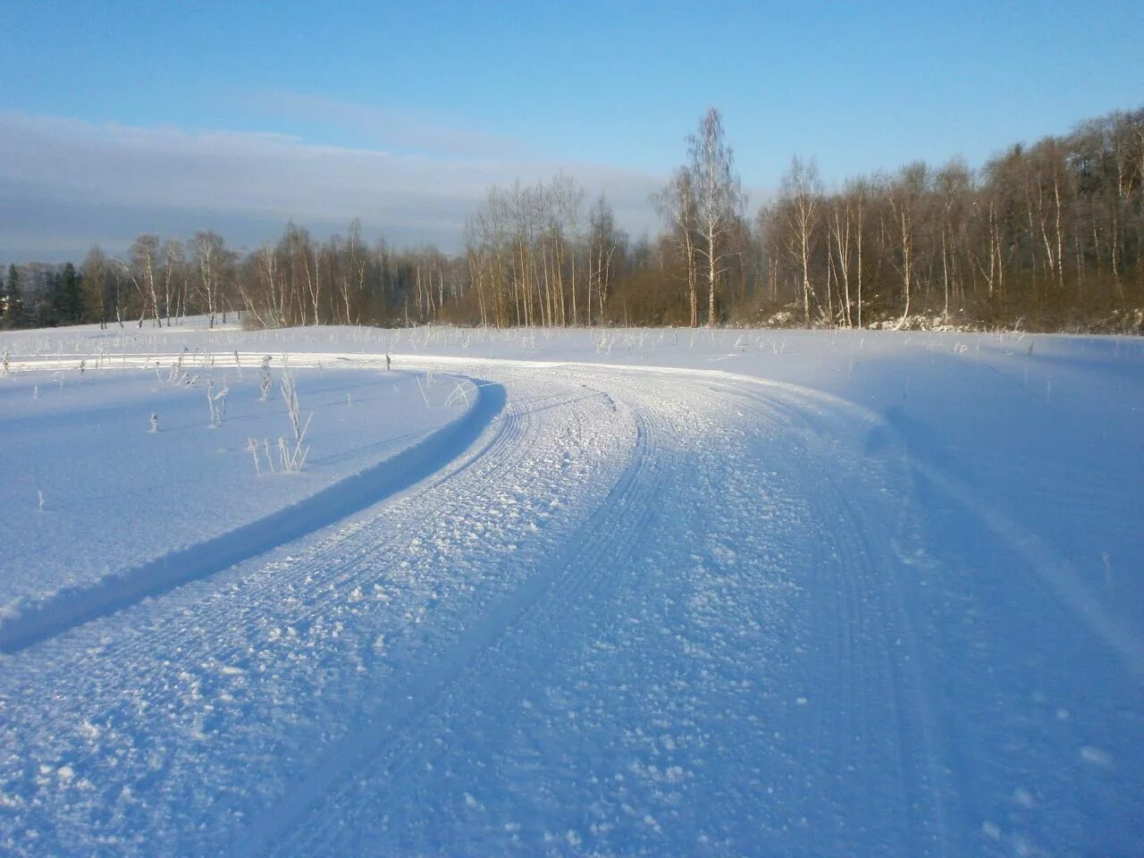 Лыжня в поле. Лыжня в поле зимой. Лыжная трасса. Лыжня в Подмосковье.