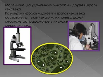 Бактерии наши друзья и враги