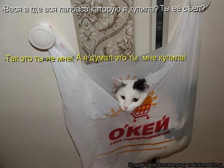 тут был вася. тут был вася. где был вася.