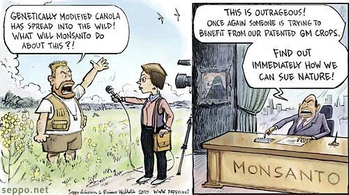 Spread into. Pizza make how make. Diwali card. Брюс ли цитаты. Монсанто карикатура.