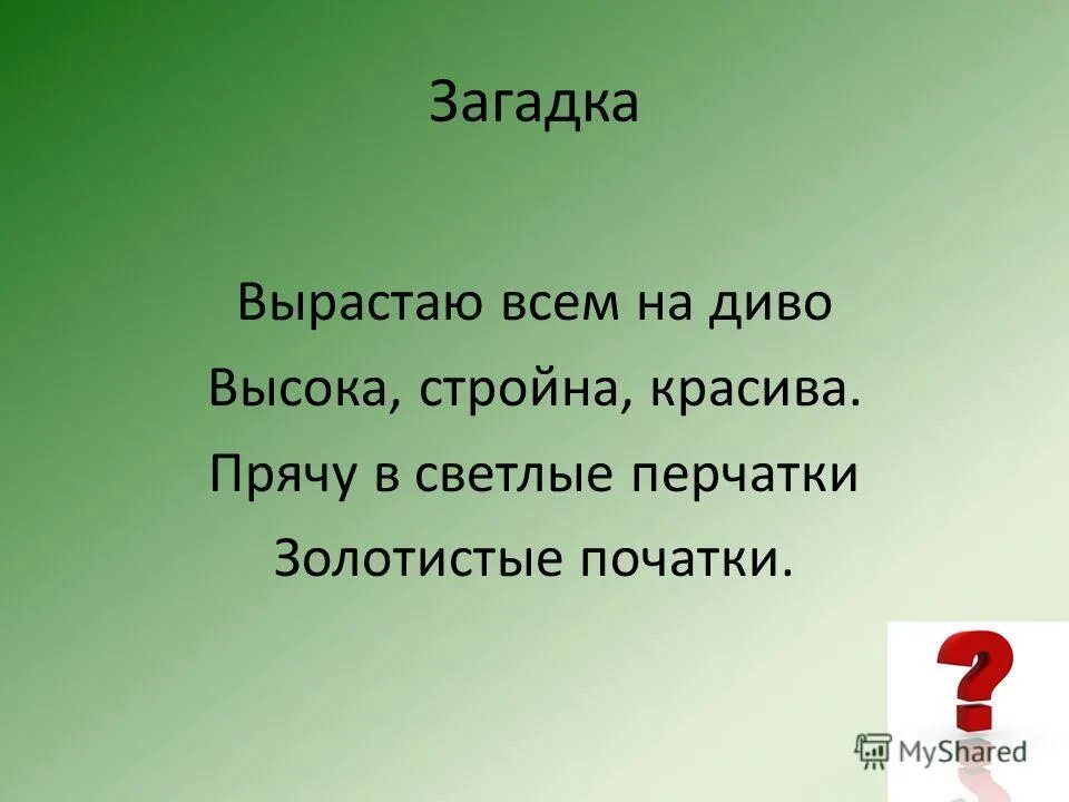 Загадки вырастают облетают. Осенние загадки. Шёл долговяз в землю увяз ответ. Одетый летом зимой загадка. Загадка про солнце для детей.