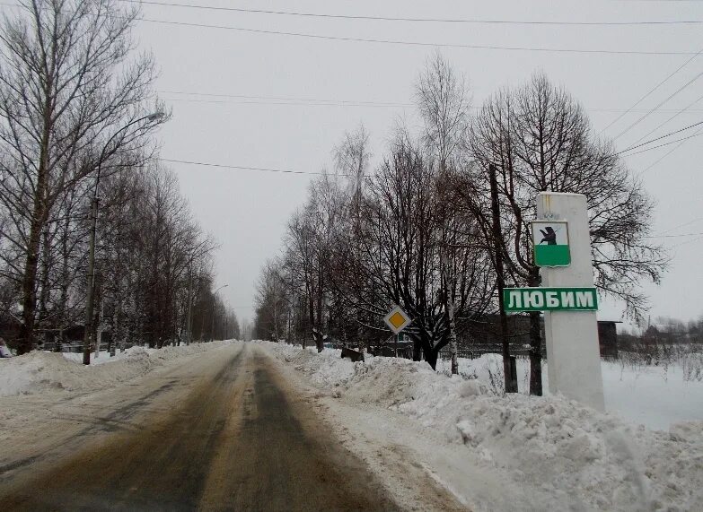 Погода на неделю в любиме ярославской