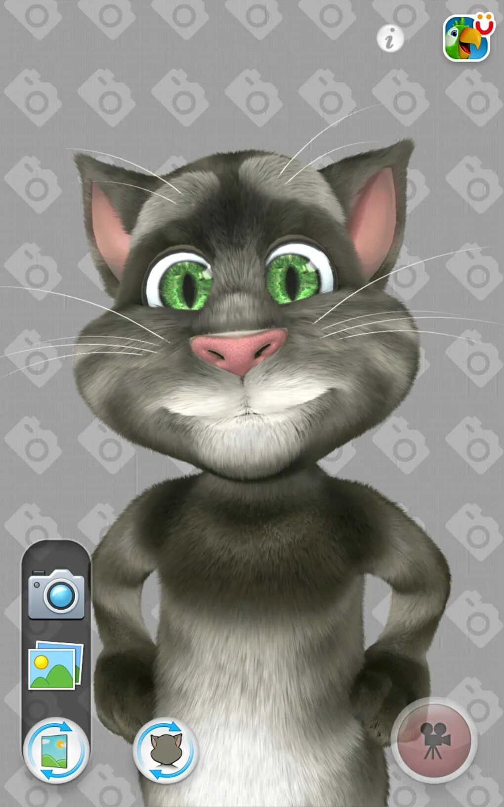 Talking Tom 2010. Говорящий том для Messenger. Кот том игра. Планшет talking Tom.