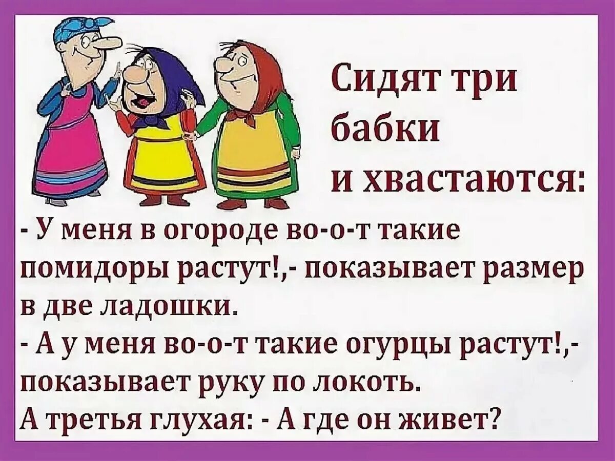 Пришел помочь бабушке. Анекдоты про бабушек. Шутки для бабушек. Анекдоты для бабушек смешные. Анекдоты про бабок.