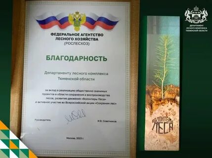 Департамент лесного комплекса тюменской